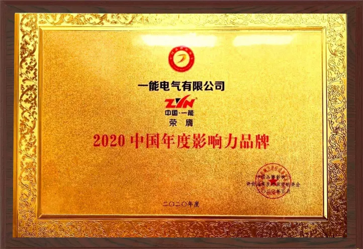 2020中国年度影响力品牌
