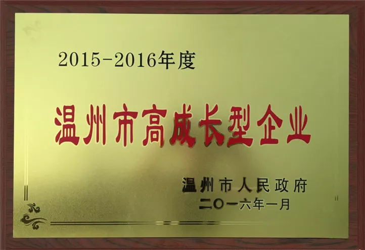 2015-2016年度 温州市高成长型企业
