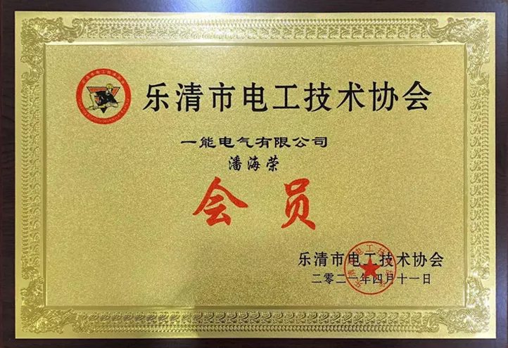 乐清市电工技术协会