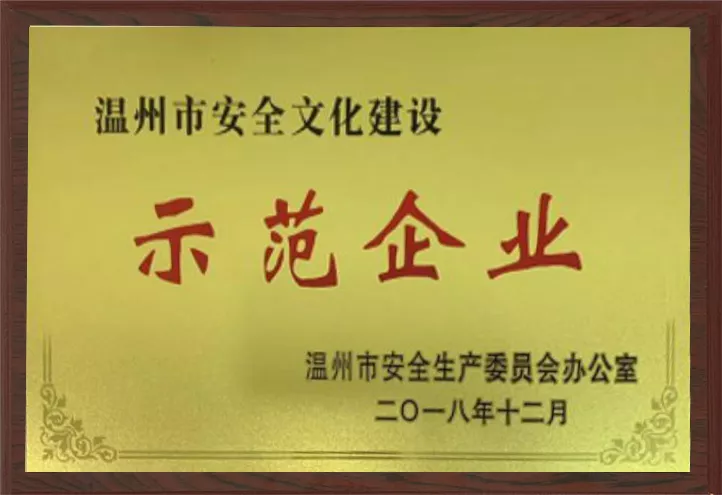 温州市安全文化建设 示范企业