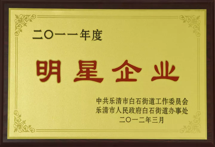 2011年度明星企业