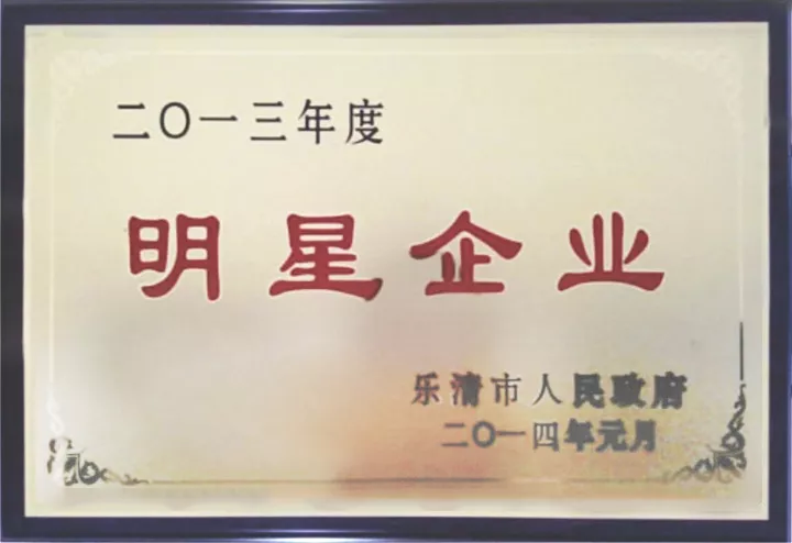2013年度明星企业