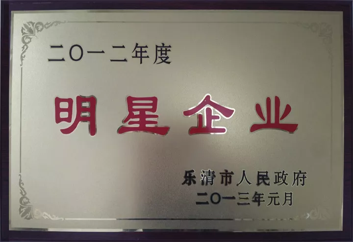 2012年度明星企业