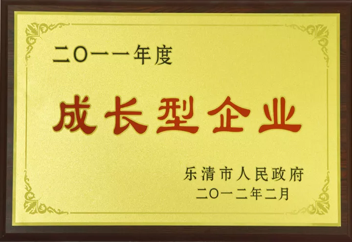 2011年度成长型企业