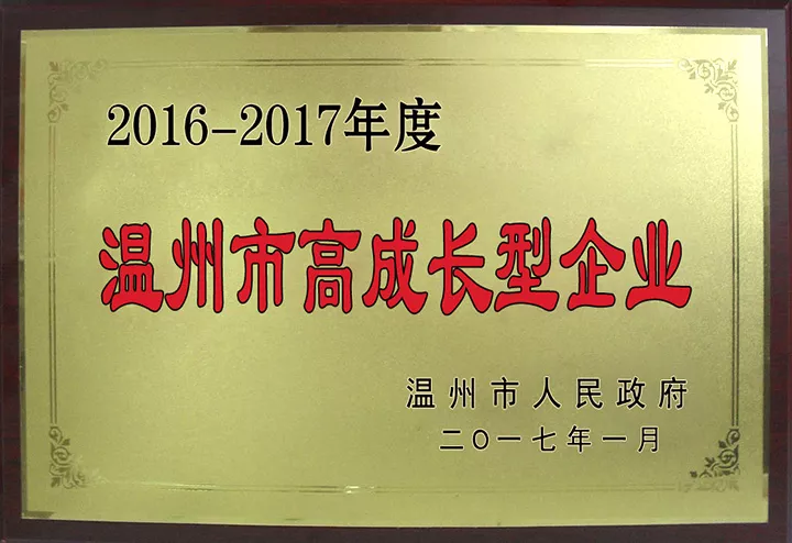 温州市高成长型企业